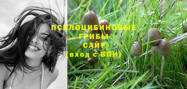 ALPHA-PVP Вяземский