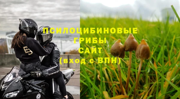 дживик Вязники