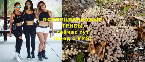 дживик Вязники