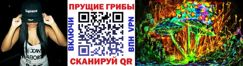 где купить наркоту  Дивногорск  Псилоцибиновые грибы Psilocybine cubensis 